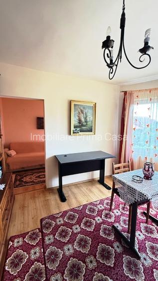 BAIA SPRIE - spre Cavnic Vila D+P+E 168mp + anexa cu teren 1526mp! - 25