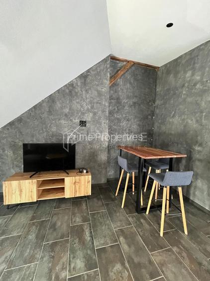 Închiriere apartament exclusivist 2 camere | Central | Terasă 20 mp - 7