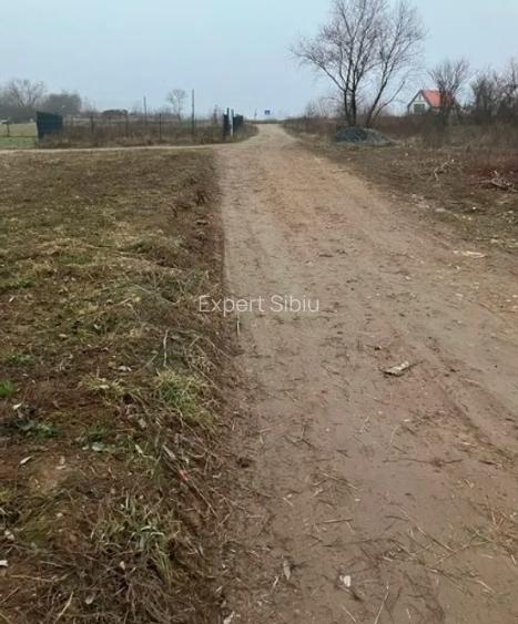 Parcelă de teren extravilan de vânzare  504 mp– orașul Tălmaciu - 2