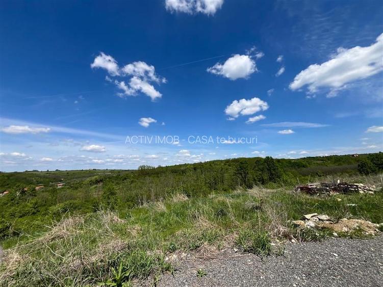 Lugoj Teren  8.200 Mp., Dealul Viilor, Priveliste Impresionanta - 7