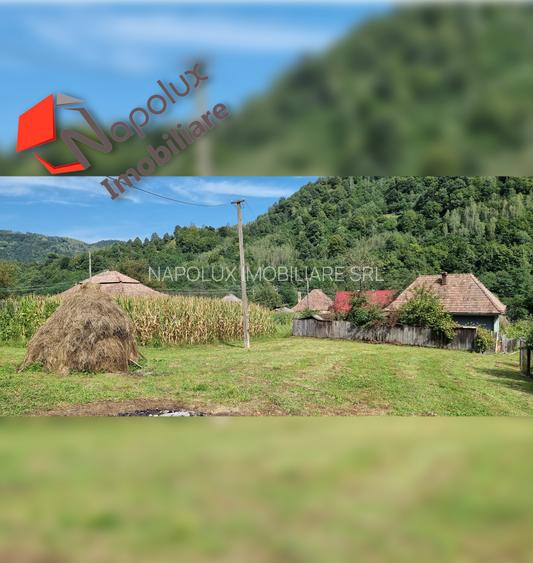 Casa deosebita in zona turistica pitoreasca Valea Ariesului - 9