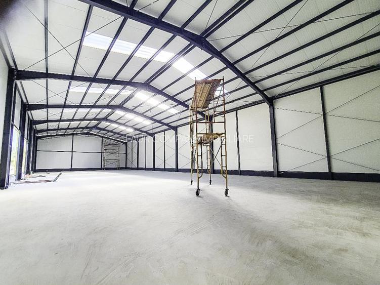 Spatiu  Industrial  Hala Pitesti - 7