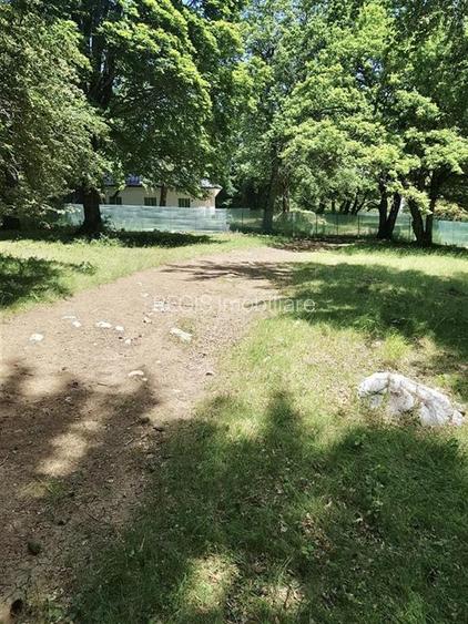 Teren de vanzare 4713 mp investitie | Poiana Brasov - 10
