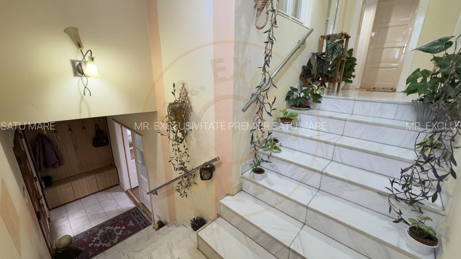 Casa 7 camere cu Teren 4.620 mp | Potential pentru rezidenta sau afacere | Carei - 11