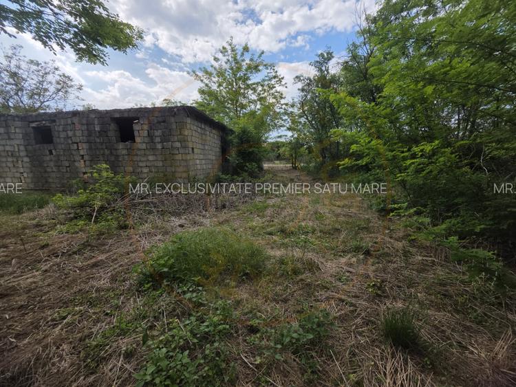 De Vânzare 19 ari Teren Lipău - 4