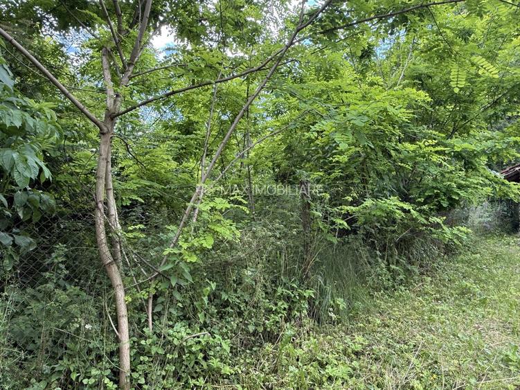 Teren intravilan 683 mp deschidere la strada asfaltata ! - 15