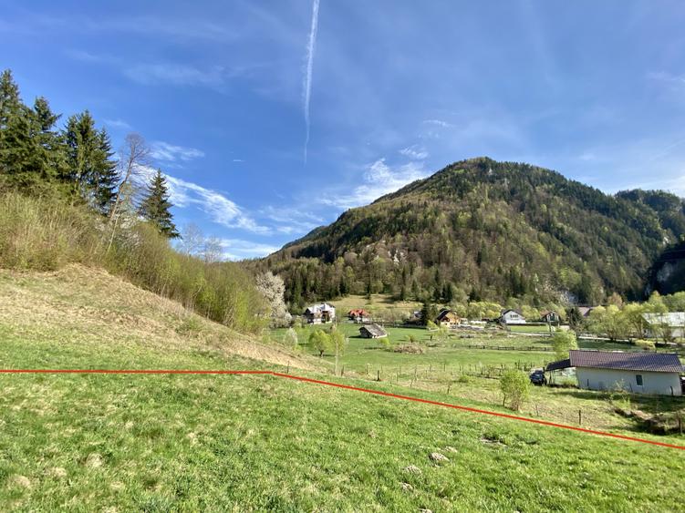 Teren panoramic însorit, utilități, panta mica si pădure, turism sau vacanță