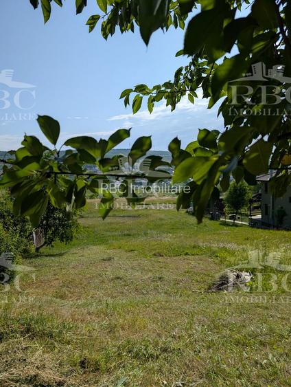 Teren intravilan 4600 mp cu front de 25 m pe strada Odobesti - 5