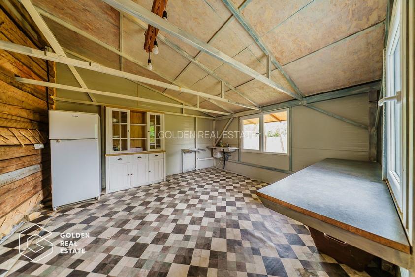 Afacere la cheie: Pensiune functionala sau casa de locuit, Ghioroc - 46