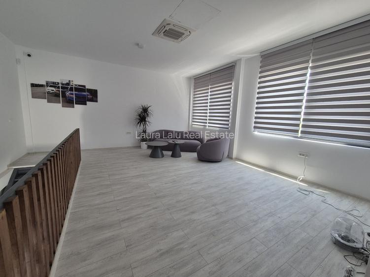 Hale de Vanzare de 600 mp în Chitila-Rudeni - 12