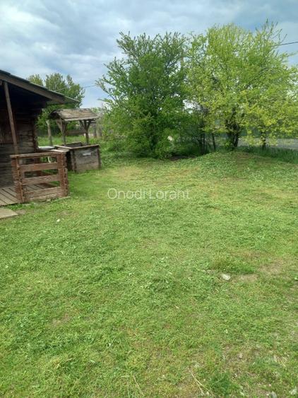 Teren INTRAVILAN în Delta Dunării – 1035 mp – Chilia Veche – locație rară - 8