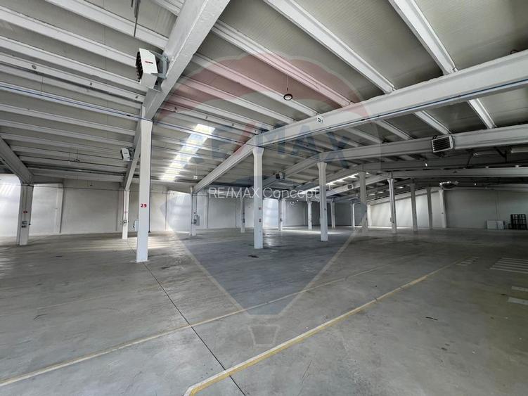 Hală renovată recent, modernizată, uși automate, poziționare eficientă - 4