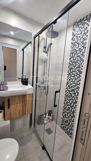 Apartament 2 camere în zona strazii Ariesului - 18