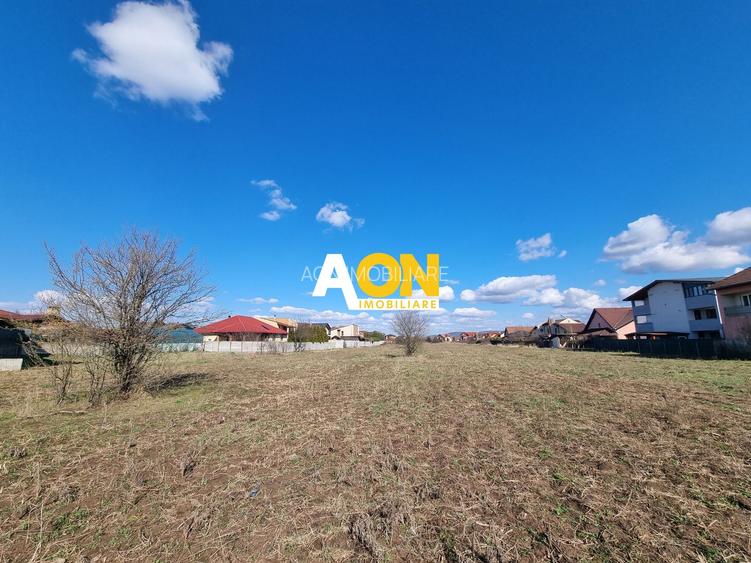 De vanzare 2600mp teren intravilan, pretabil pentru bloc P+3, Cetate - 3