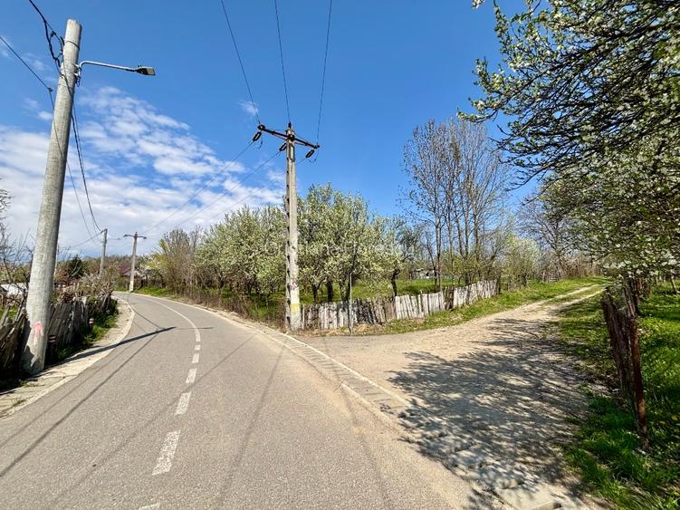 Teren 3.800 mp | Pucioasa, Dâmbovița | Natură, liniște și acces dublu - 5