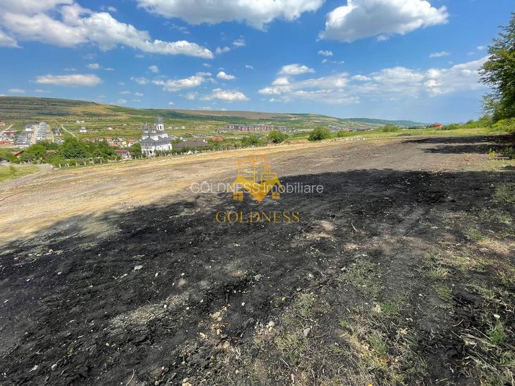 Terenuri de vanzare, Parcelabil, Valea Chintaului, Zona Beta Residence - 2