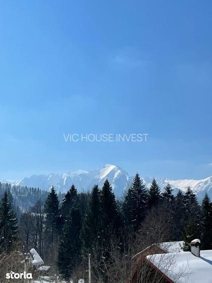 Casa de vacata Predeal Trei Brazi - 19