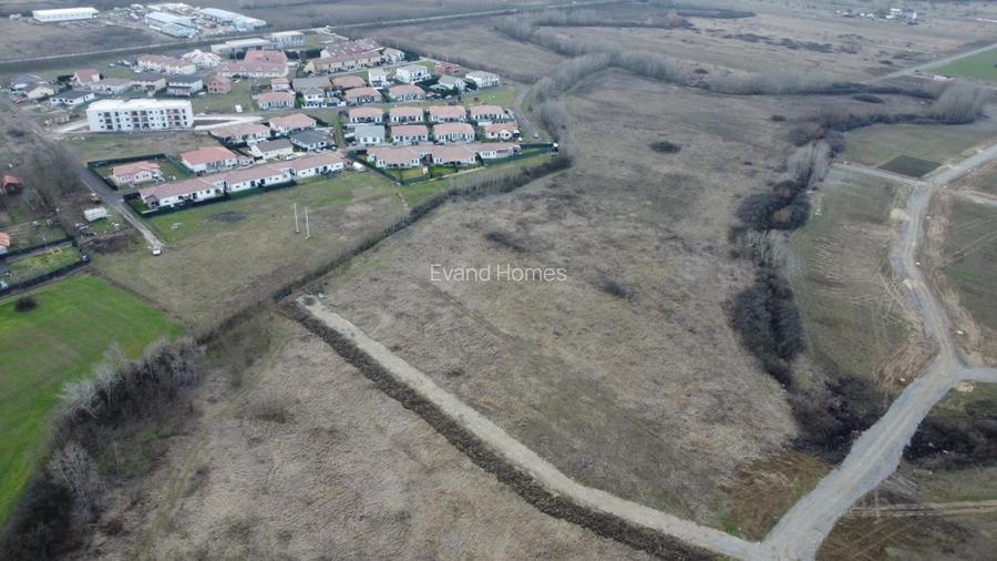 Teren extravilan - Cartier Armonia - Mosnita  - 3