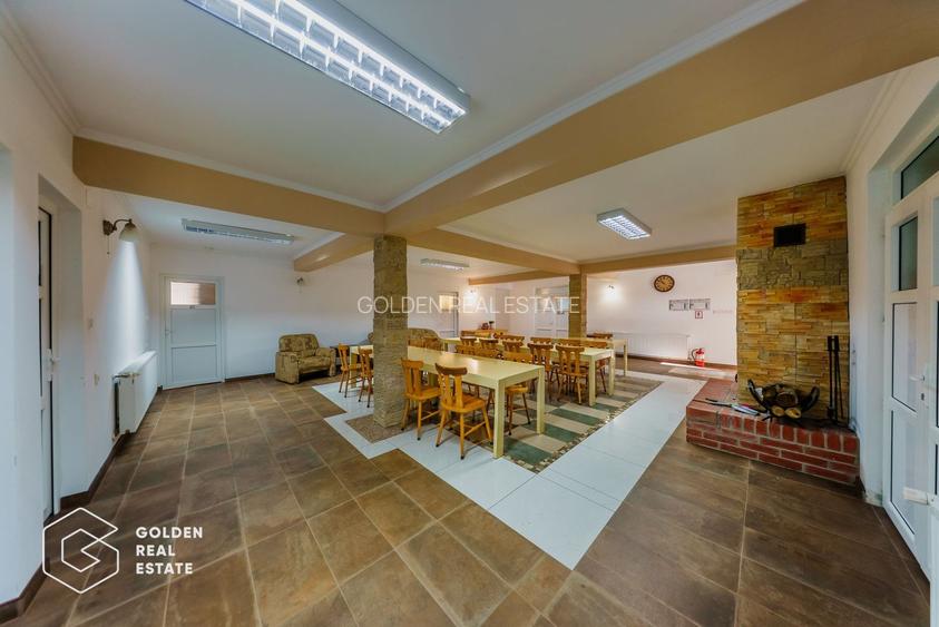 Proprietate pretabila pentru afacere, Cladova - 3