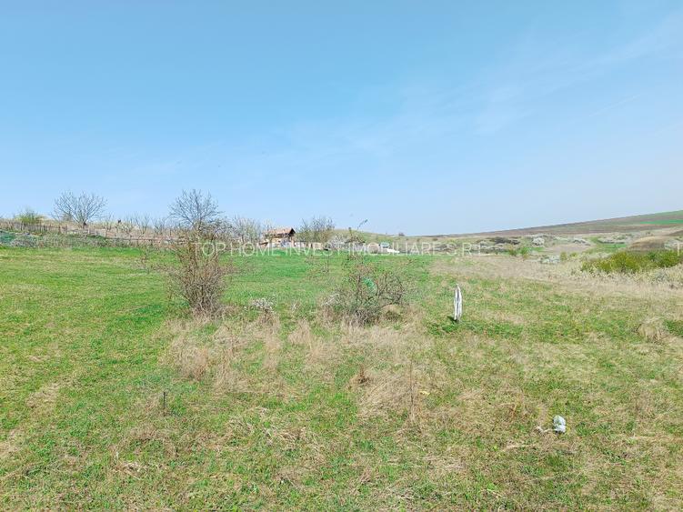 Teren extravilan în Dezmir. - 5