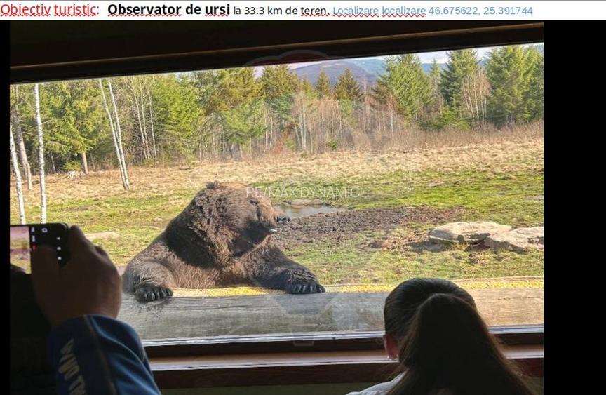 Vânzare teren extravilan, 4 ha pădure, zona turistică Liban, Harghita - 14