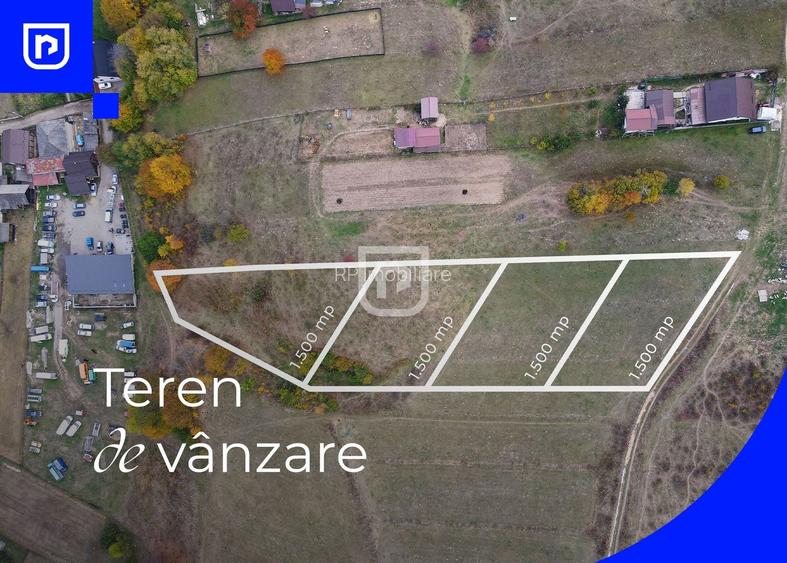 Teren - Gura Humorului |  BUCOVINA | 20€ mp - 2