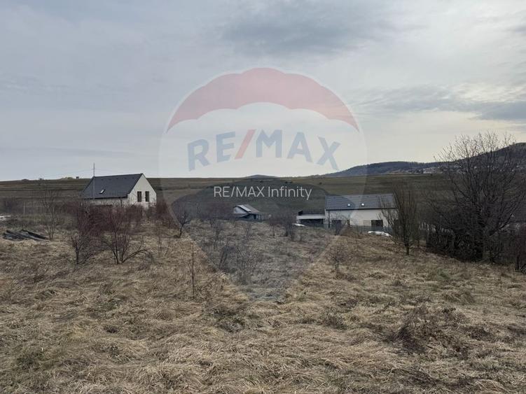 Teren intravilan 2307 mp în Salicea, zona premium, aproape de Cluj - 10