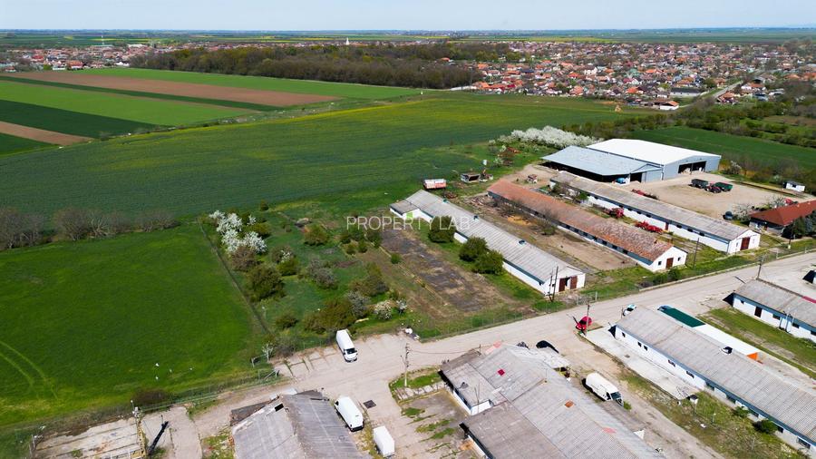 Spațiu depozitare 734mp și teren de 7.844mp Macea - 5