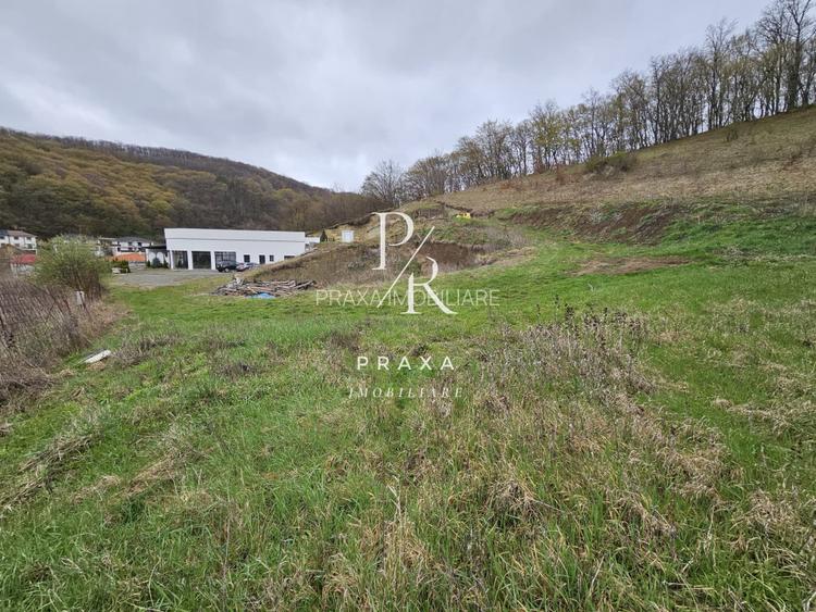 EXCLUSIVITATE! Teren de vanzare, 5.000 mp+ Restaurant mobilat si utilat! - 2