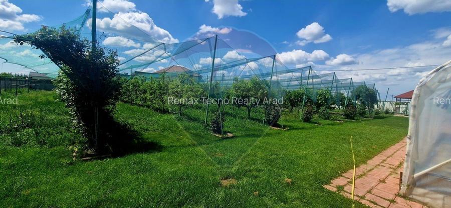 TEREN Investitie livada cu 116 pomi fructiferi in Comuna Livada - 10