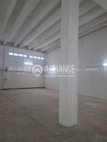 ZONA INDUSTRIALA (COD04)-Hala 270 mp ideal service auto - 6