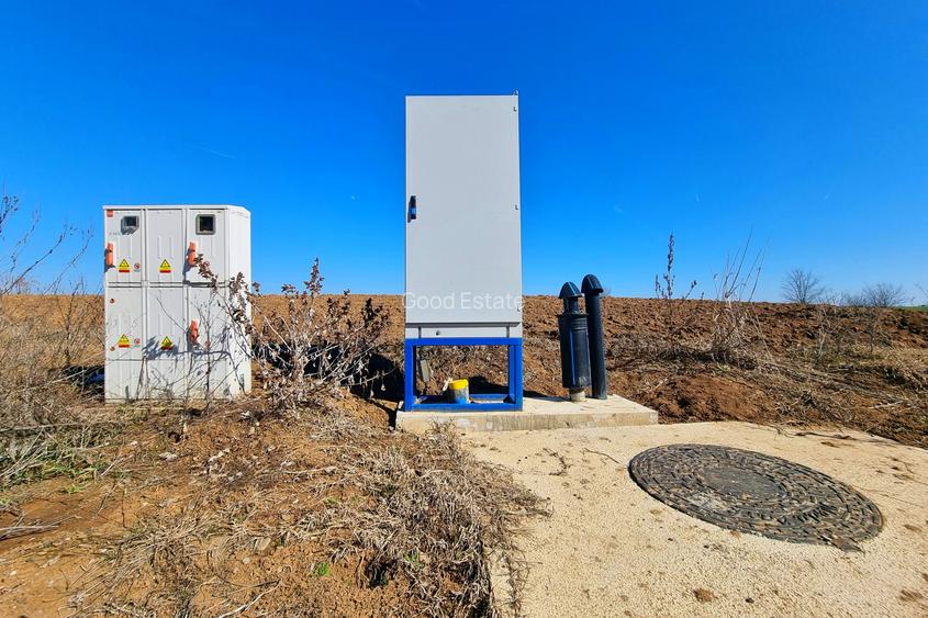 Teren intravilan 13175mp utilitati Ciolpani Strada Alunisului - Padurea Snagov - 4