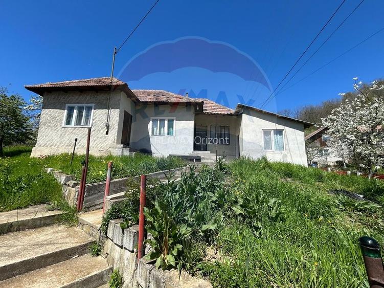 Casa bunicilor, cu gradina, Lera, Buzau! - 18