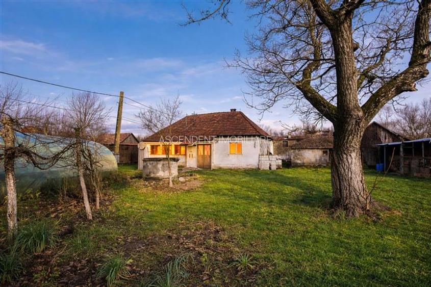 FILM! Casa cu sura, pivnita, balta cu pesti, 2.280 mp teren roditor, Lemnia, Cov - 12