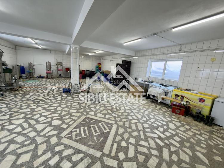 Spatiu productie zona Selimbar, pretabil alimentatie, productie - 2