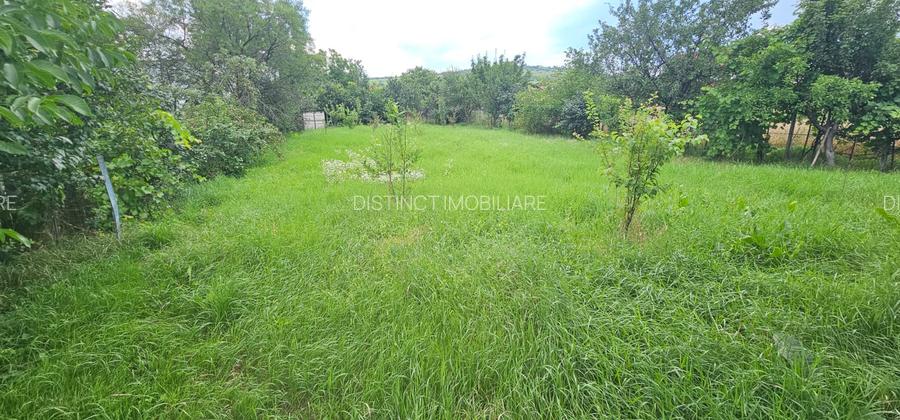 Vanzare teren intravilan, 1500 mp, Tarlungeni central. - 4