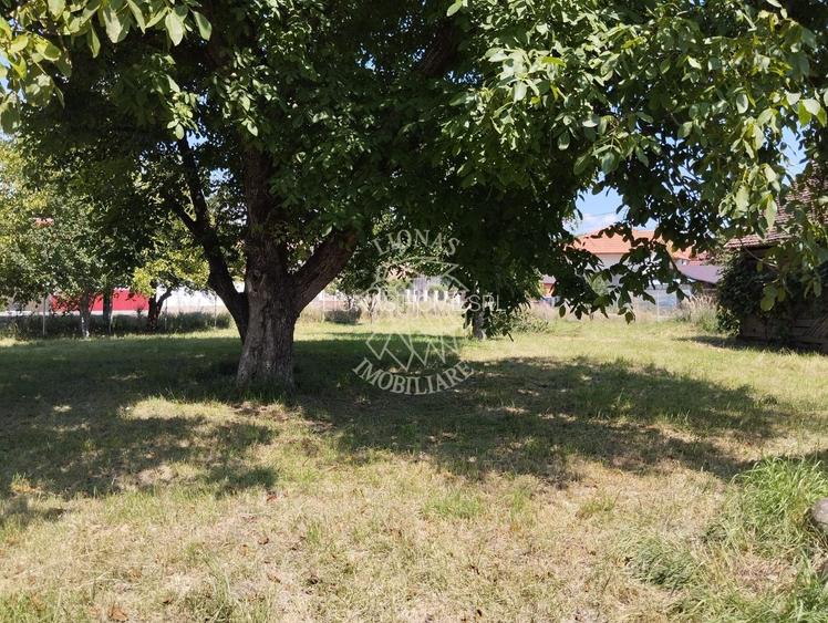 Casa 110 mp 7 incaperi-teren 3850 mp-anexa-Dorolea, 15 km de Bistrita - 3