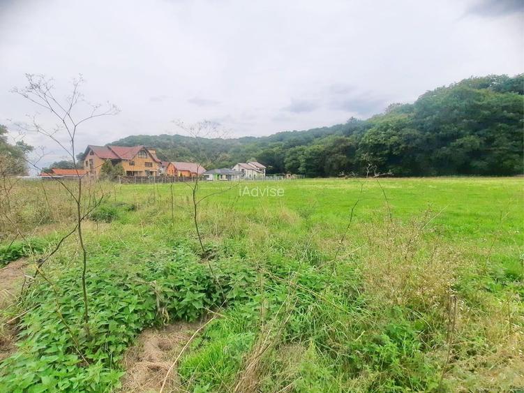 Teren superb Rasnov str Izvorului Cartierul Primaverii - 10