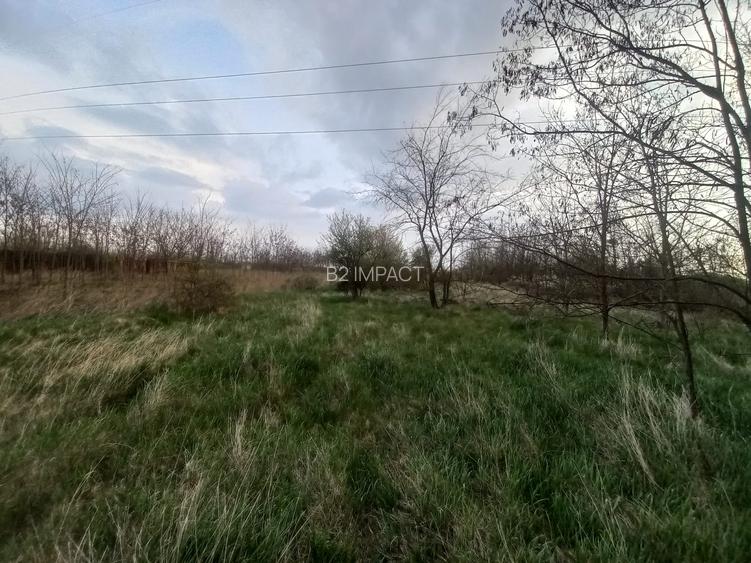 Teren de vanzare in Snagov, Jud. Ilfov - 4