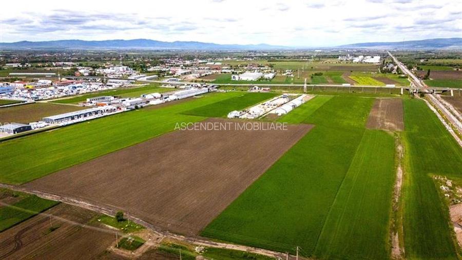 FILM! Teren intravilan, cu PUZ, pe 10.000 mp, Grivitei, Brasov - 4