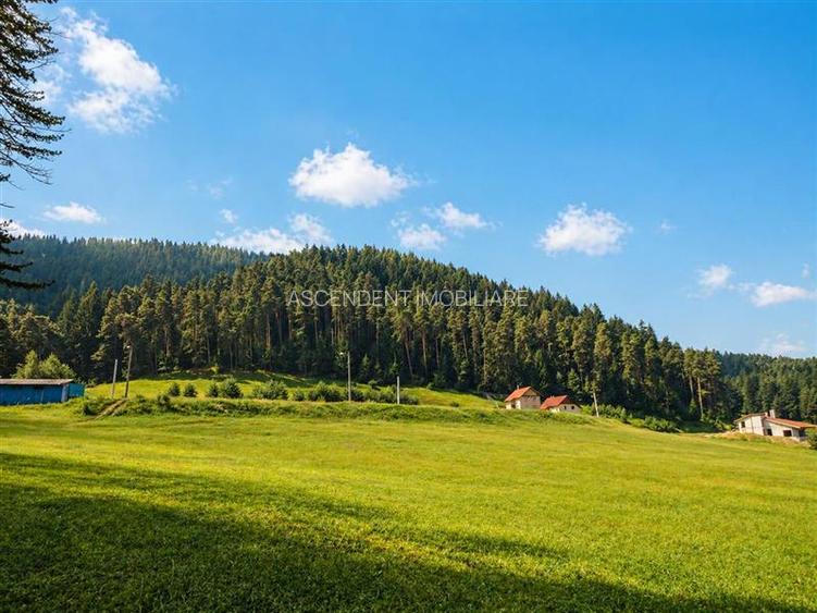 Incantator parc privat, 1.500mp: casa/ pensiune/ refugiu montan, Sacele, Brasov - 2