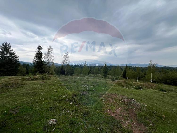 Teren extravilan parcelabil Călățele Pădure, zona Dealu Negru - 5