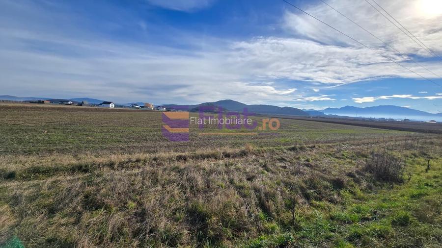 Teren 30.000 mp  – PUZ aprobat pentru ansamblu locuințe - 7