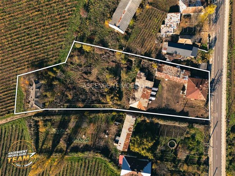 FILM! Domeniu de 4.000 mp intravilan+ casa boiereasca autentica,in podgoriile Od - 3