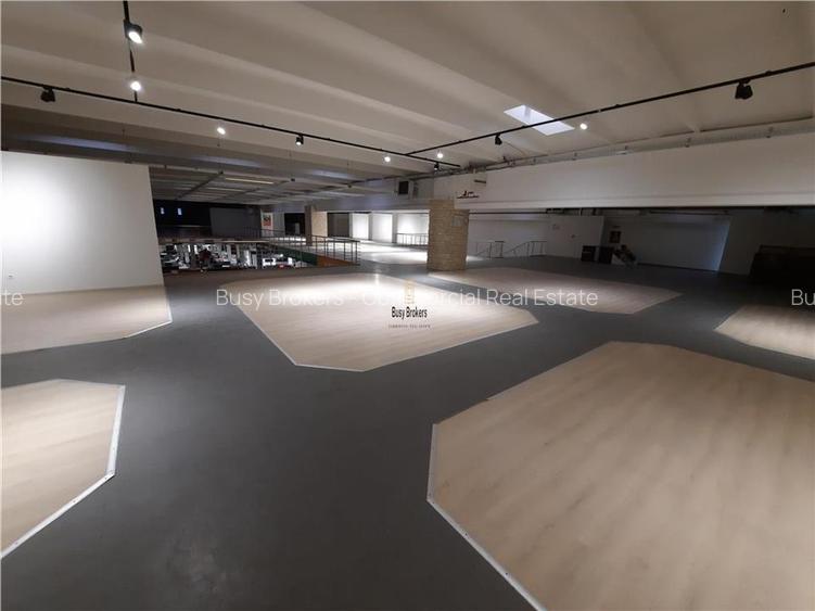 Spatii Comerciale - 500 mp - Showroom - Comert - 14