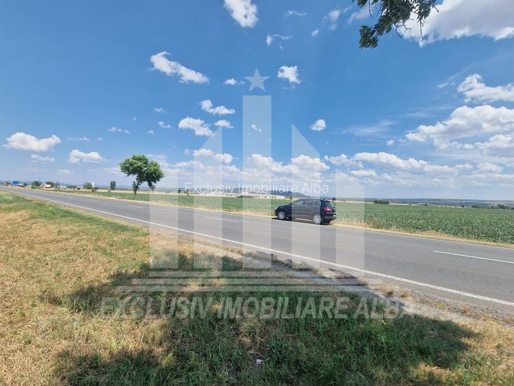 Teren agricol | La sosea | 9100 mp | 40 ml deschidere - 6