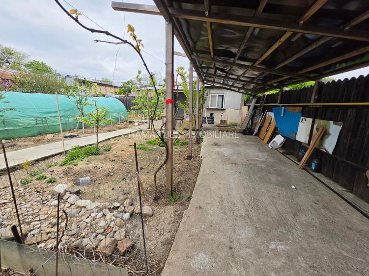 Petricani, strada Steaua Rosie, Lacul Plumbuita, 600 mp, toate utilitatile - 5