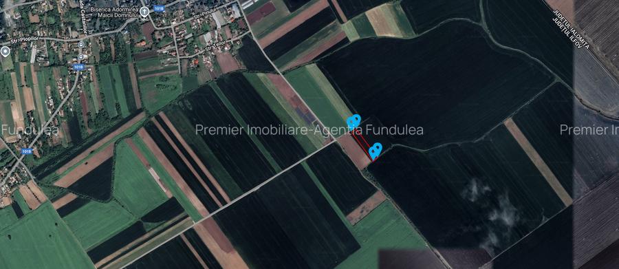 Teren 53211 mp Nuci – Merii Petchii, Ilfov - 5 €/mp - 4