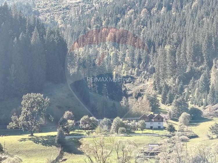 Casă în Vatra Dornei, zona Argestru, cu 11.541m.p. TEREN INTRAVILAN - 3