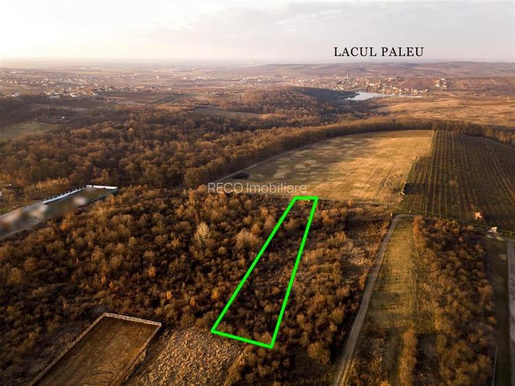 Reco Teren intravilan in Saldabagiu de munte 4333MP - 3